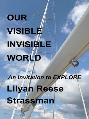 cover image of Our Visible Invisible World